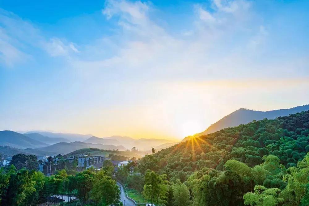 跟莫干山民宿一样精致的民宿,莫干山特色民宿推荐