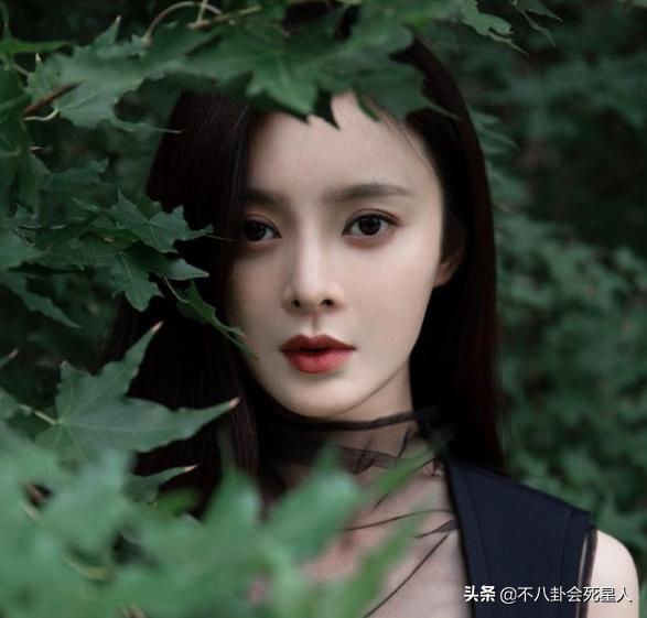 尚食女主崩溃瞬间片段,尚食首播热度第一