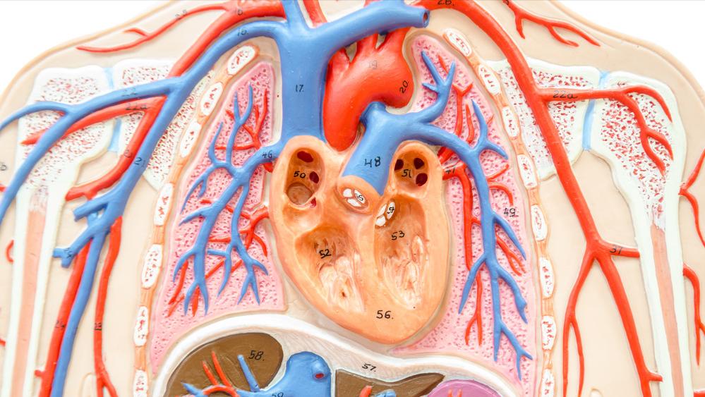 左胸口隐隐作痛一阵阵刺痛几秒,左胸老是刺痛几秒是心脏病吗