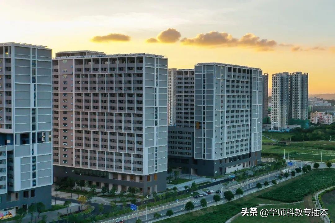 2022深圳技术大学专升本最低分,深圳技术大学2024年专插本