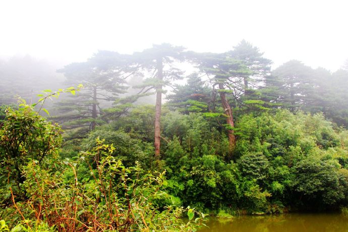 关于三清山的诗句五岳,诗人笔下的三清山