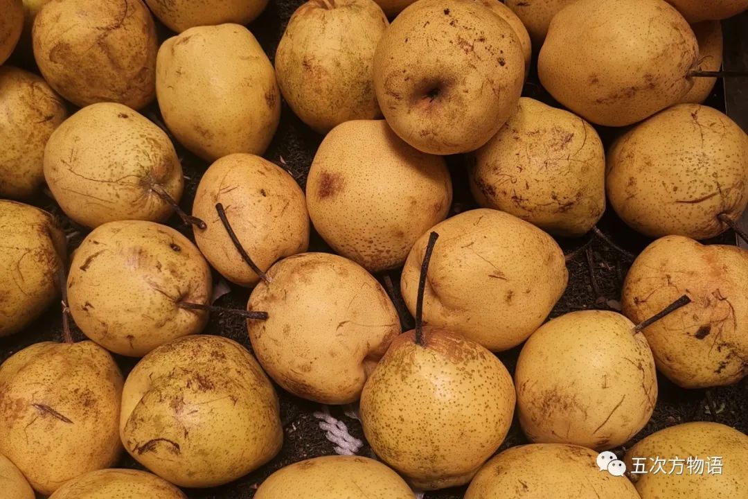 蔷薇科水果是什么,蔷薇亚科著名水果