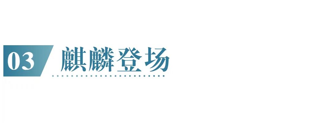 华为海思半导体有多强,华为海思真的是中国芯片之光吗
