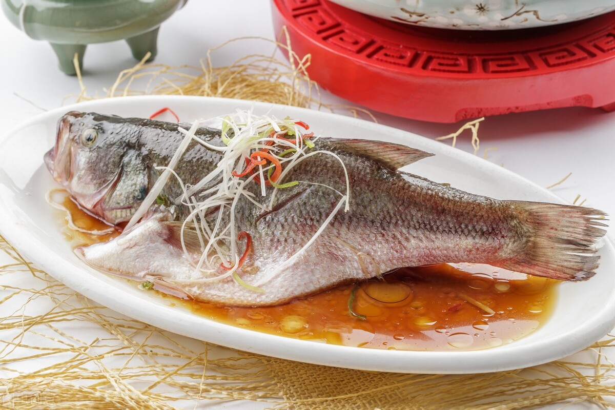 鲈鱼肚子大的好还是肚子小的好,买鲈鱼公的好还是母的好