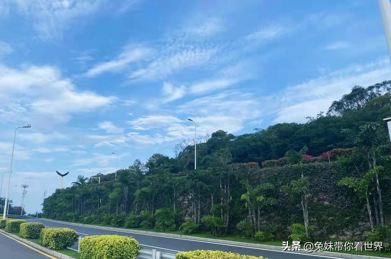 我的2020旅行回顾厦门鼓浪屿,我的厦门之旅完整版