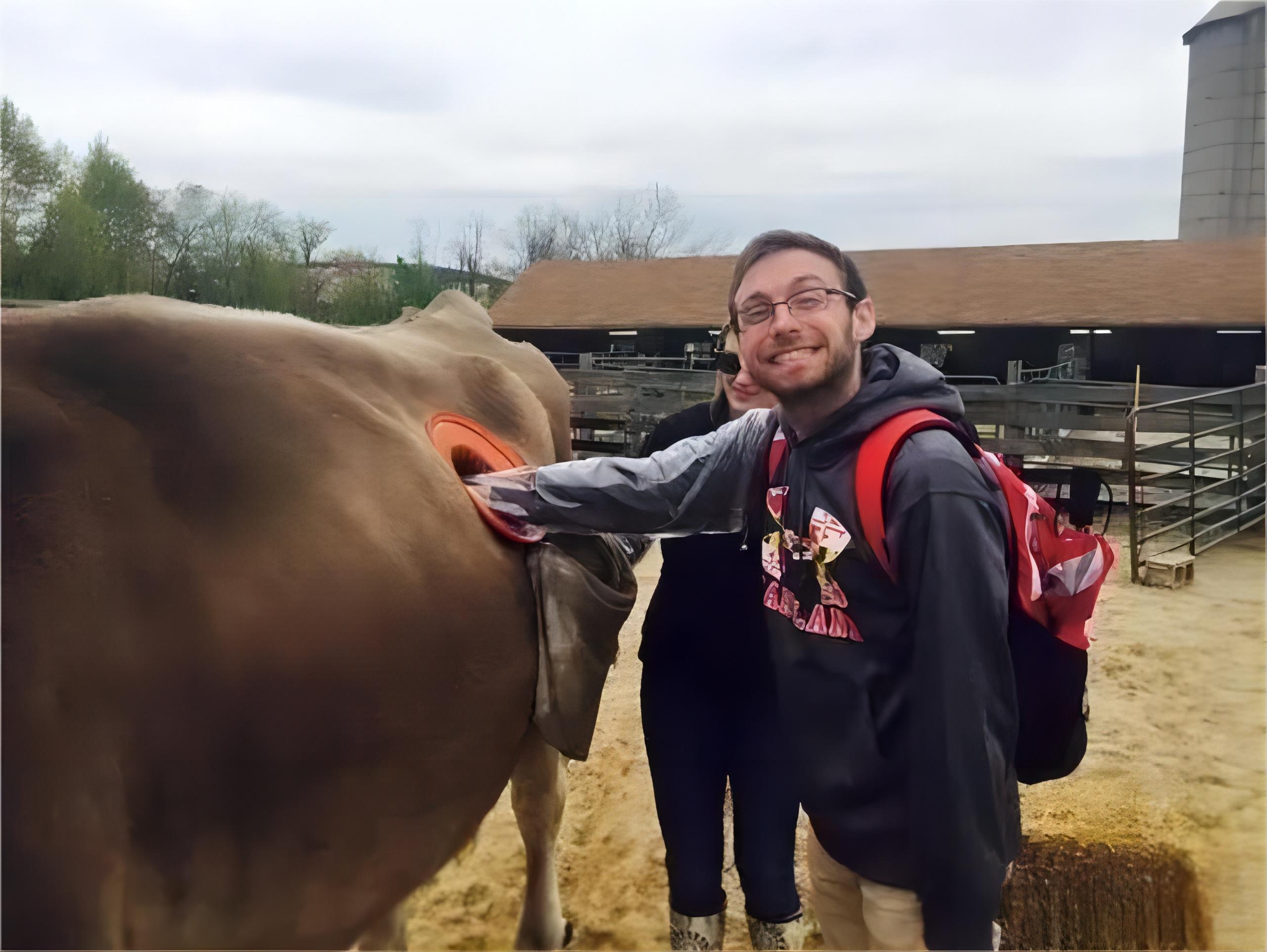 美国养牛开洞视频,国外养牛牛胃上开大洞