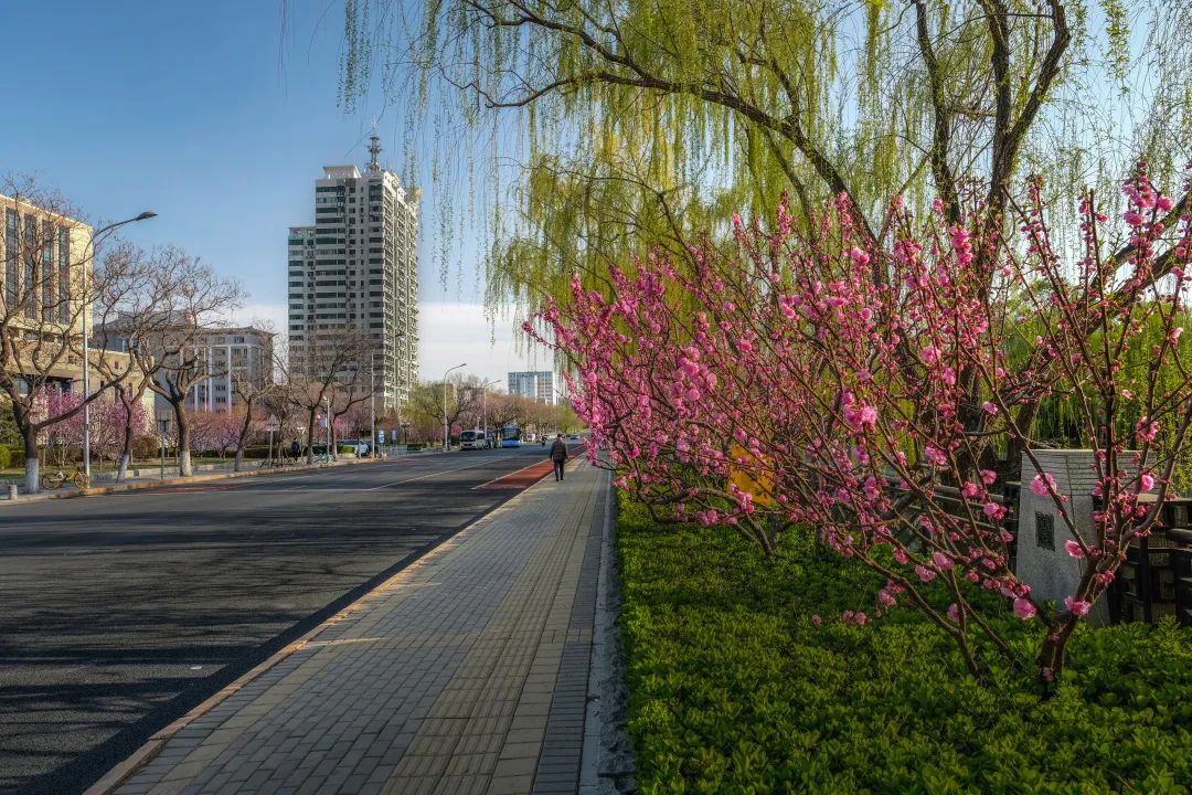 西城印象西平县,西城印象二期