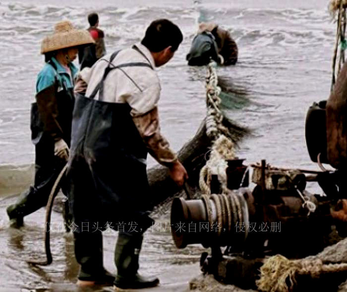 这就是“舔日”的下场日本媒体爆出猛料，让韩国政府下不了台