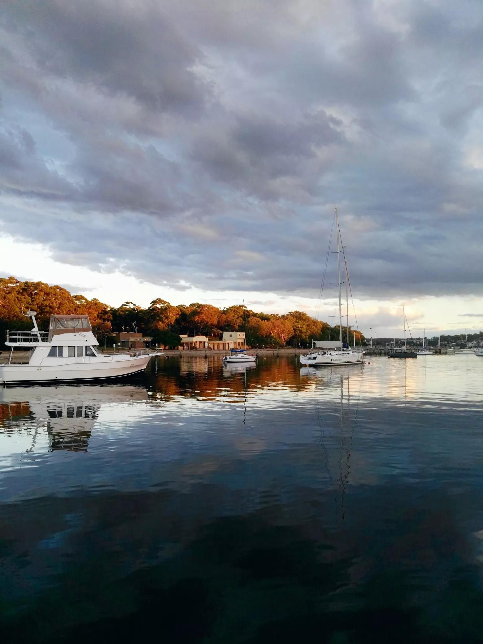 病毒肆虐全球,病毒肆虐全球高清