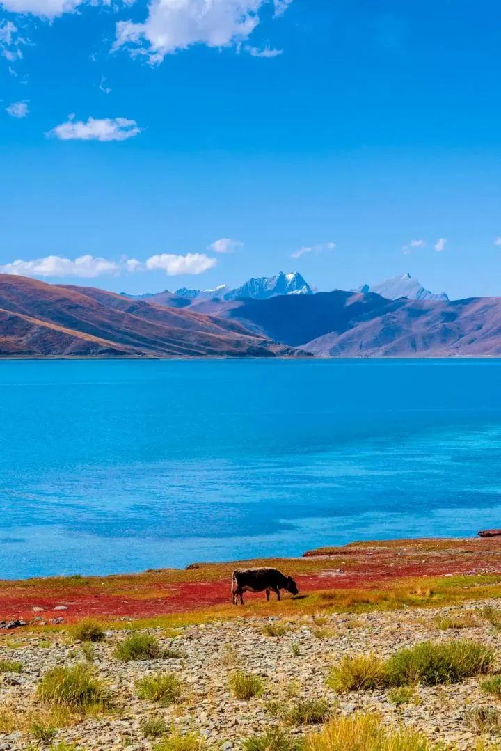 西藏和西北旅游攻略,藏西都有哪些地方旅游