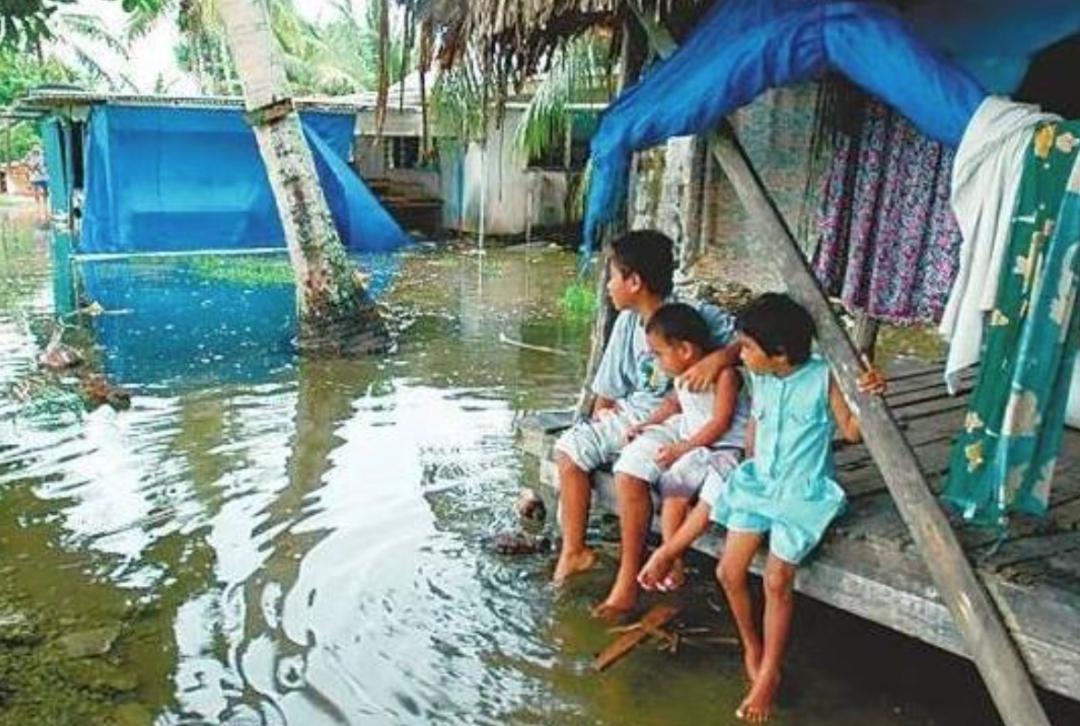 极端高温怎么解决啊,极端温度灾害主要有