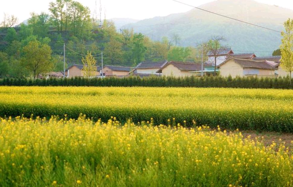 农村哭丧棒有讲究吗,出殡哭丧棒有什么讲究