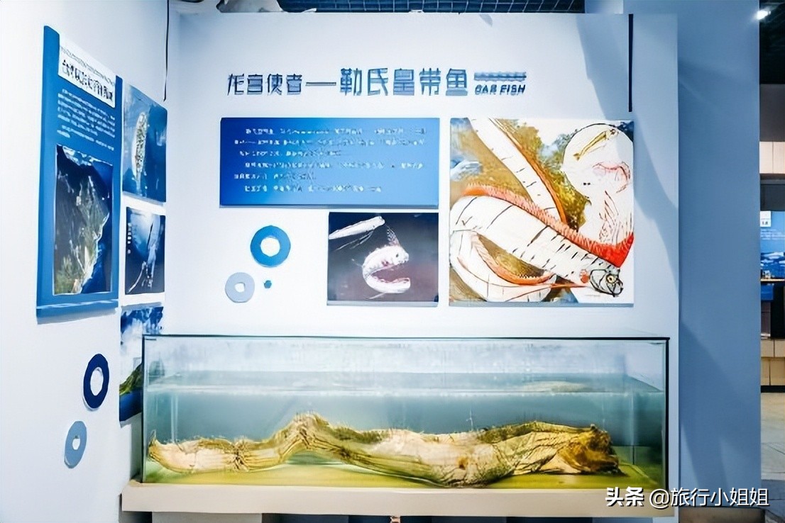 夏日海边微醺氛围感,滨城风光秀丽浪漫气息爆表