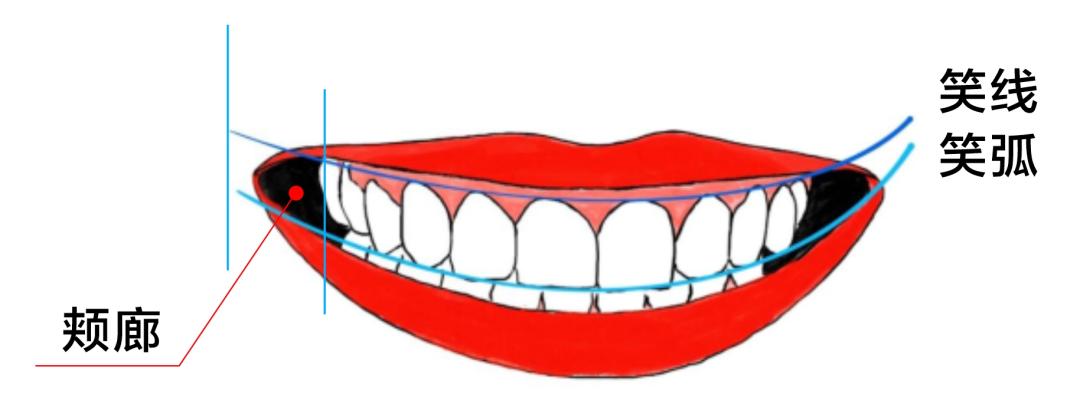 完美微笑练法,完美微笑公式