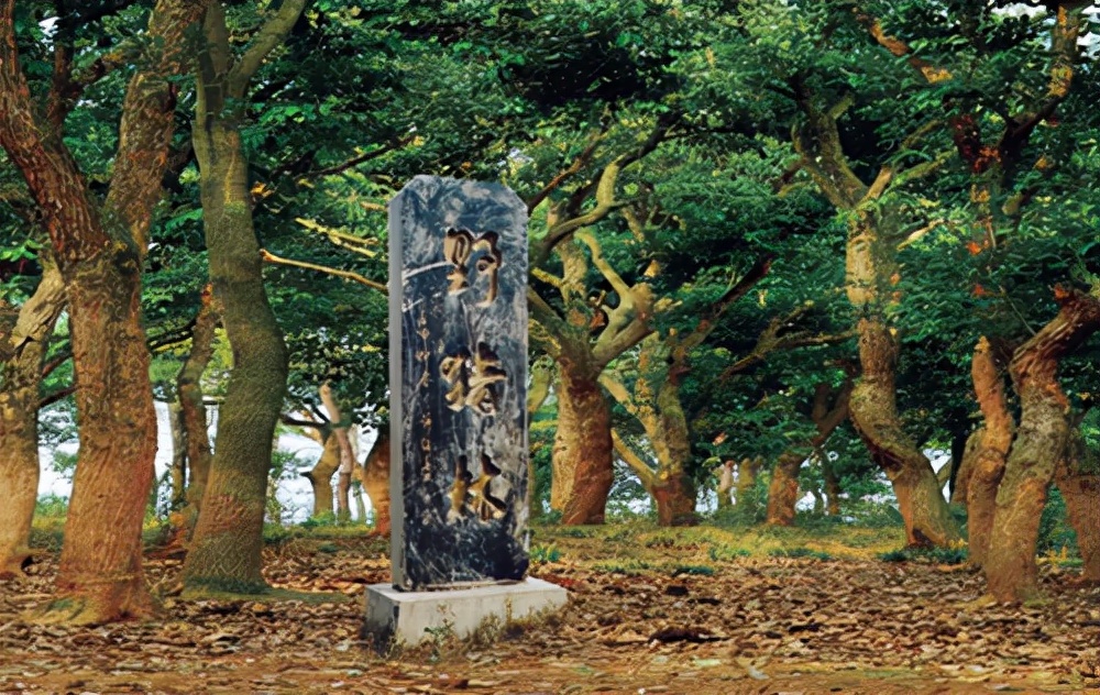鲁智深大闹野猪林是在第几回,鲁智深大闹野猪林前