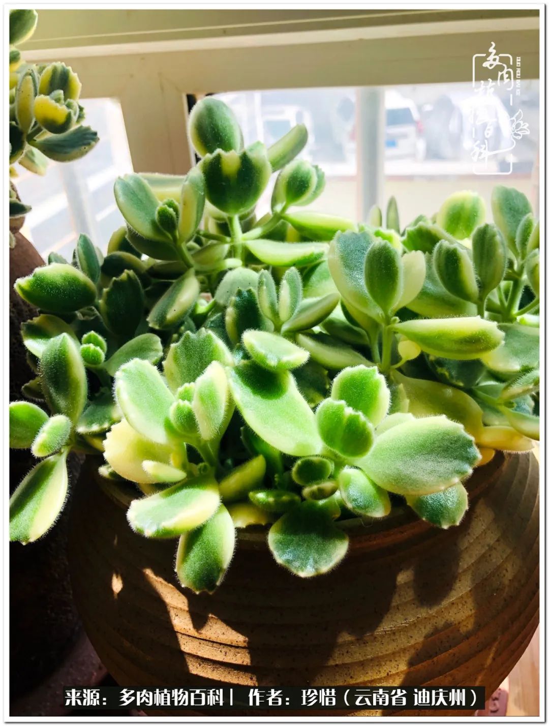 给生命一份淡然还岁月一份从容,给生命留一份洒脱的话