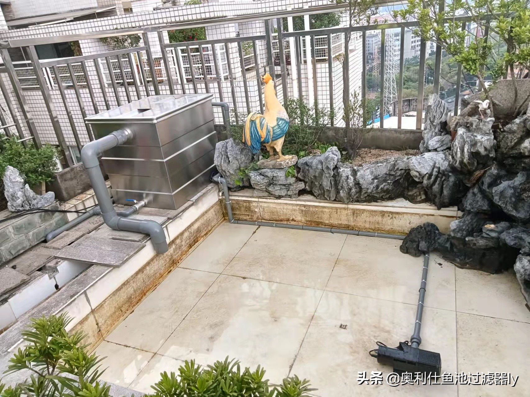 锦鲤鱼池智能水净化系统,南通锦鲤鱼池水净化