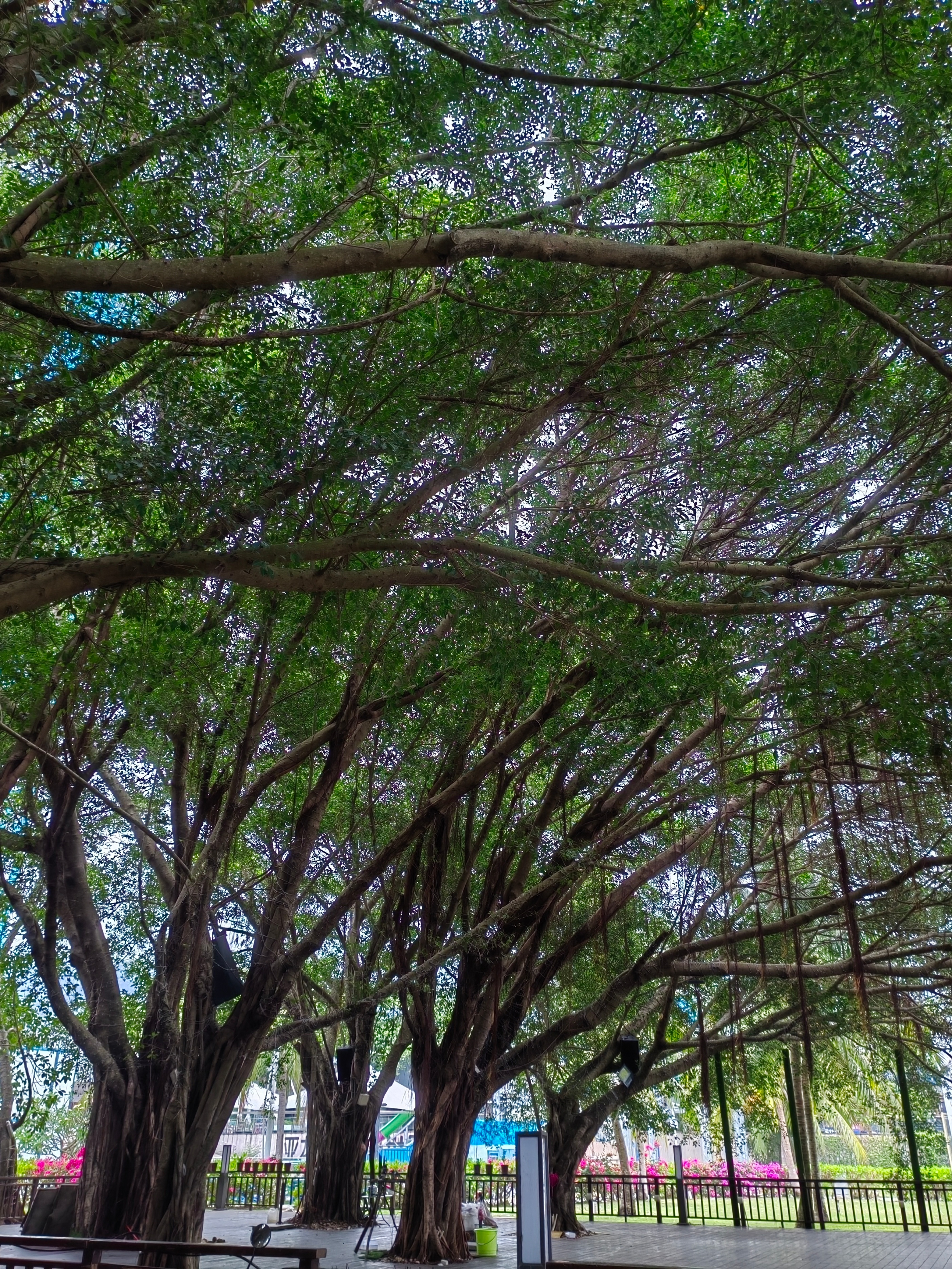 海南自驾环岛游攻略三亚出发,成都自驾海南环岛攻略路线