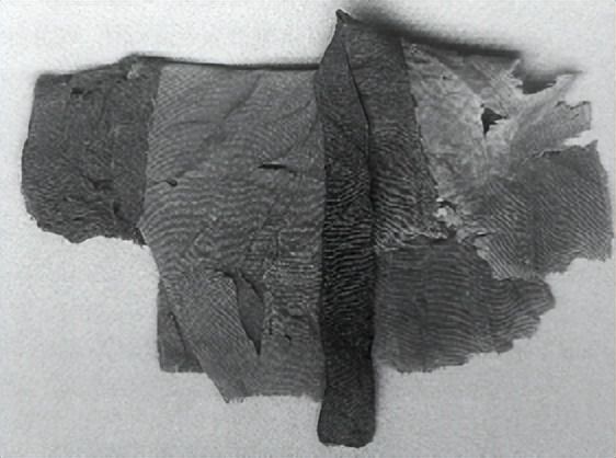 张德芳：丝绸之路上的丝绸——以河西出土实物和汉简为中心