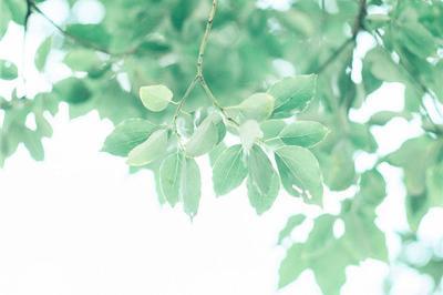 女人这样称呼你说明有点喜欢你,女人这样称呼你是不是喜欢你