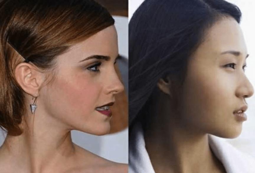 宝马冰淇淋歧视事件,宝马mini歧视事件即兴评述