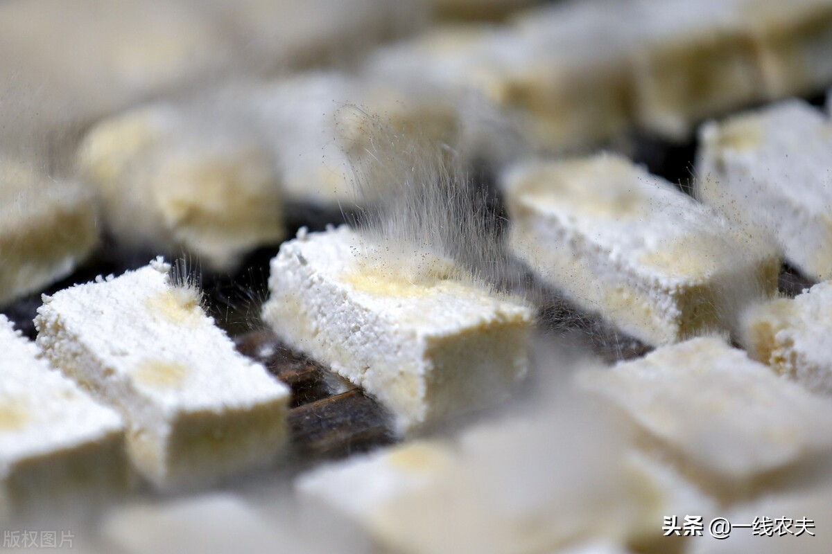 闻着臭吃着香的中国十大臭味美食，吃过3种以上的都是王者