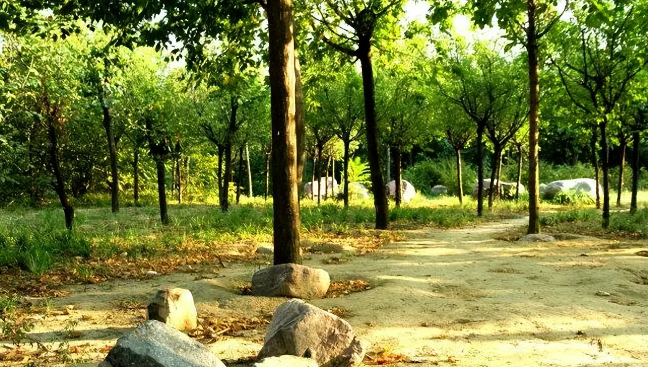 郑州市新增7例新冠肺炎无症状感染者/郑州发布101号通告/放假通知，不调休/郑州房贷利率步入4.4时代