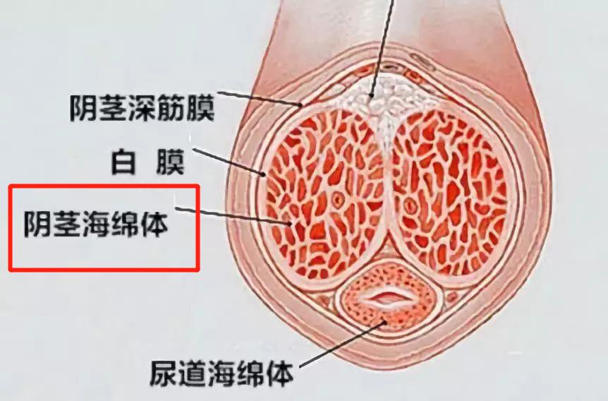 中年单身女性的困惑,大龄单身女性困惑
