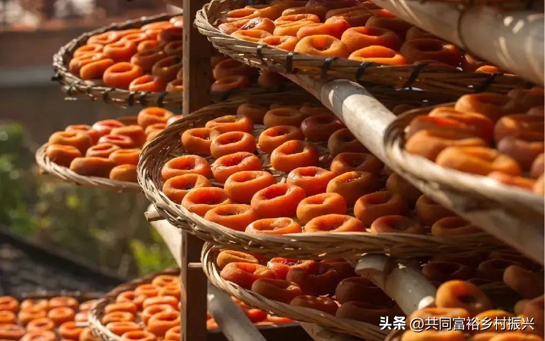 有机农业发展前景的趋势,未来农业最有前景的商机