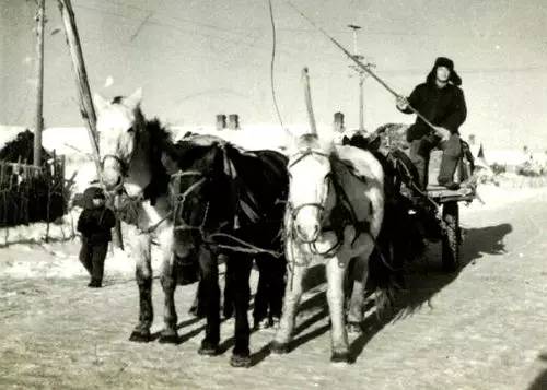 北大荒知青生活叙事诗——北大荒“游击词”100篇