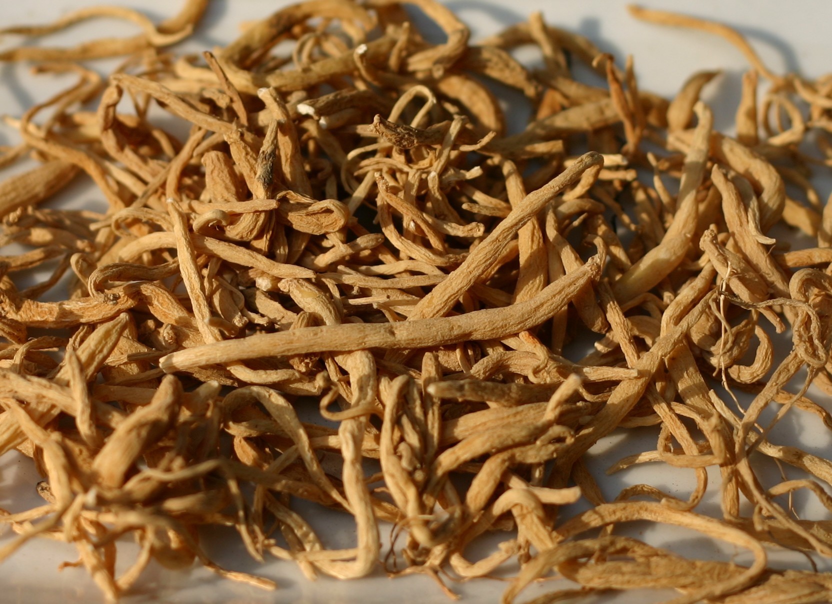 太子参医用植物的有效成分研究与药理学评估