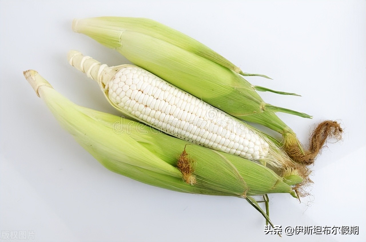 万物皆可吃是什么,万物皆可清水煮