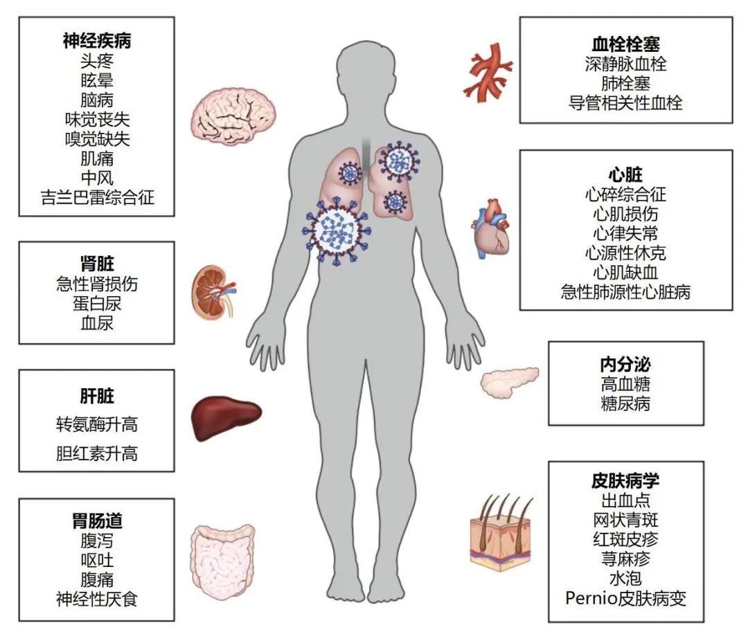 曹彬教授谈新冠,呼吸科曹彬