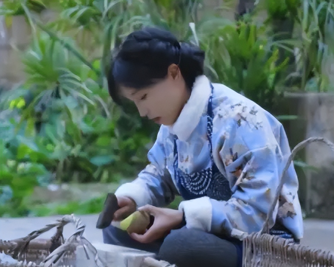 李子柒视频最新外网评论,李子柒最新视频外网评论