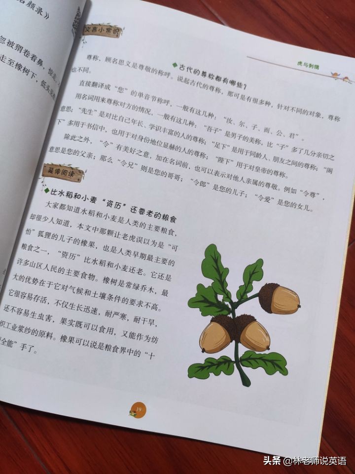 趣味杂谈最新视频,趣味杂谈继续播放