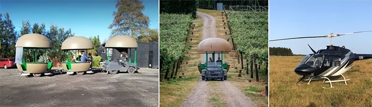 新西兰蒂普基猕猴桃特色小镇，如何实现从区域品牌到享誉世界？