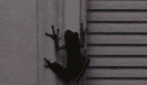 世界最罕见的女人图片高清,最罕见的30张照片女性