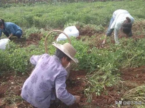一名精神分裂症患者自述,精神分裂症患者的家属如何照顾