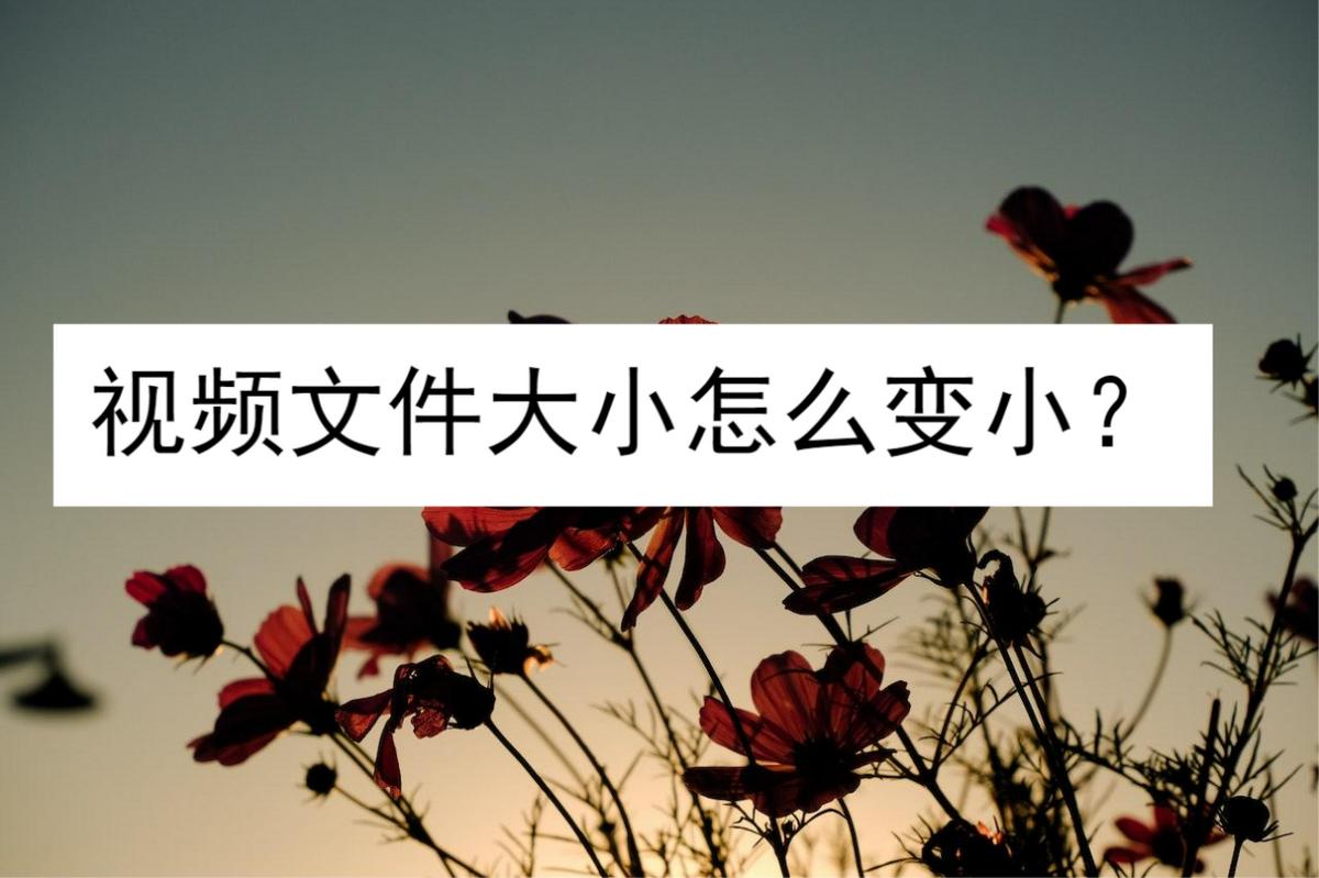 视频文件怎么变小,手机录的视频怎么压缩变小