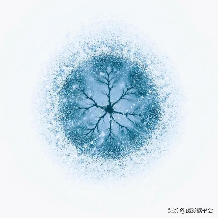 2018年度最佳摄影照片,创造出令人惊叹的自然摄影照片