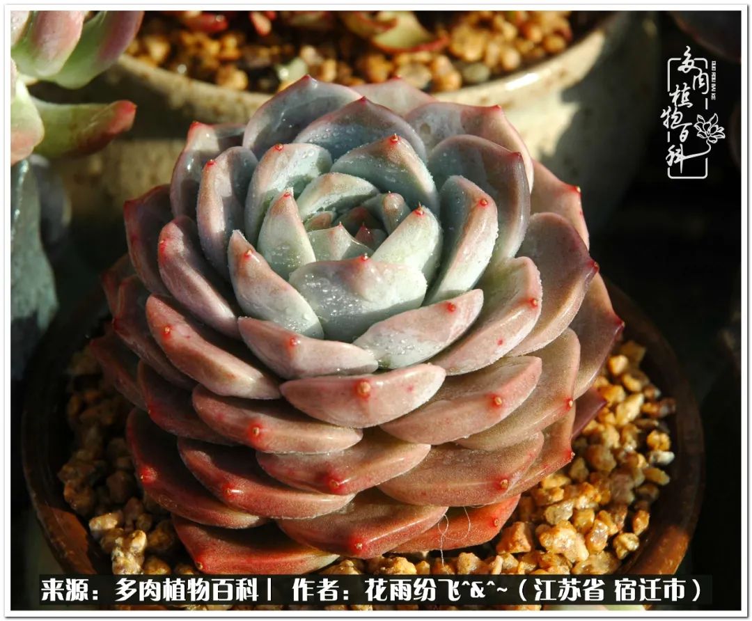 快乐的童年时光视频,回味快乐的童年美好的时光