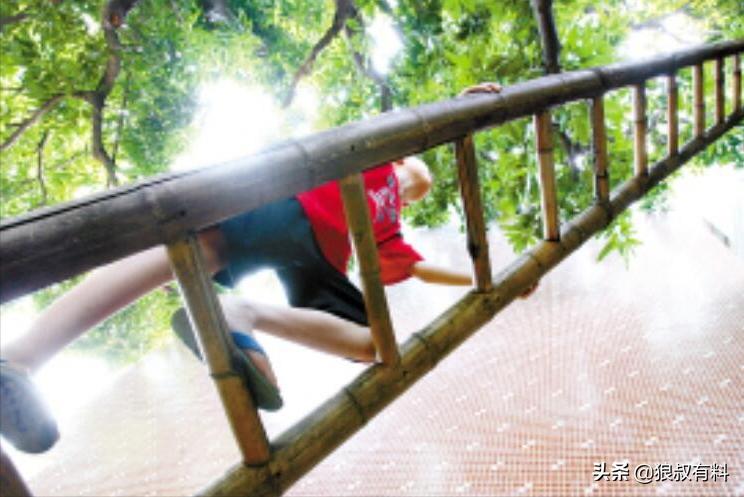 高考试卷杨博最新消息,高考试卷被盗后的杨博现在在哪里