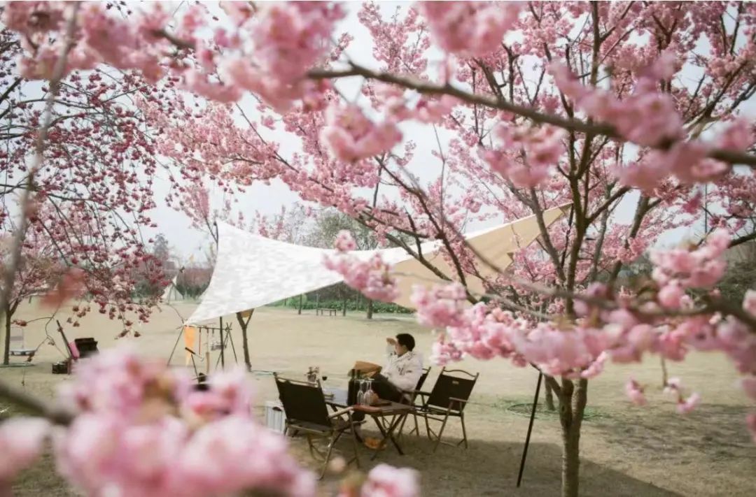 成都免费露营地推荐过夜,成都周边露营地推荐自驾