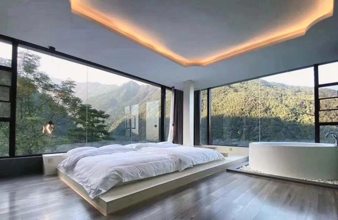 猫咪走太空步原视频最火,猫咪壁虎漫步视频