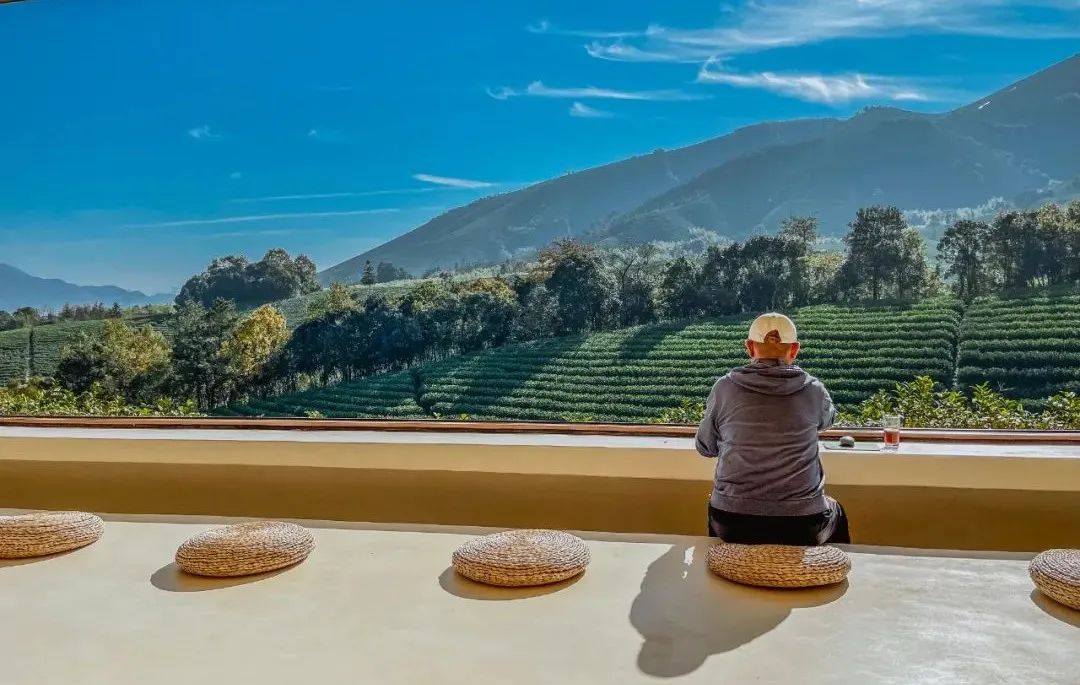 我在房车上隔离21天，拥抱了一小段上海的春天