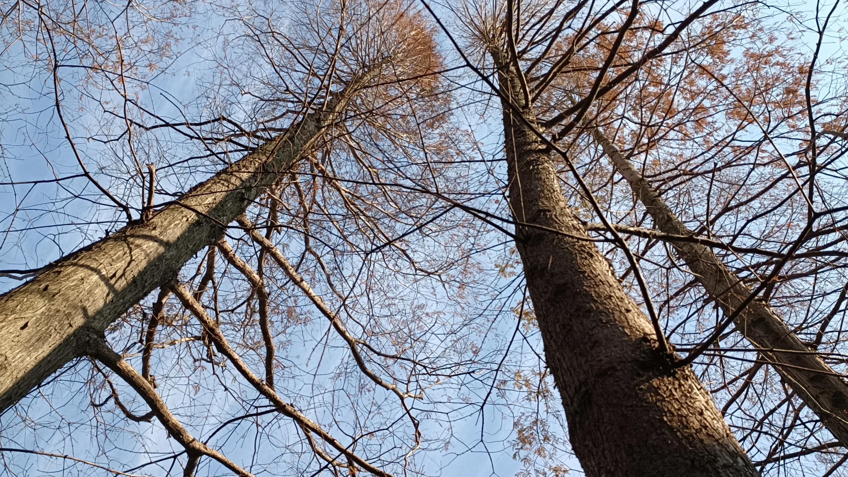 讲述自己的故事分享,讲述自己故事短片