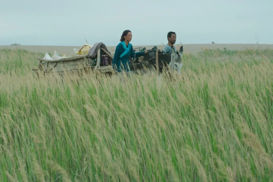 58天，我们见证了一部冷门片的逆袭