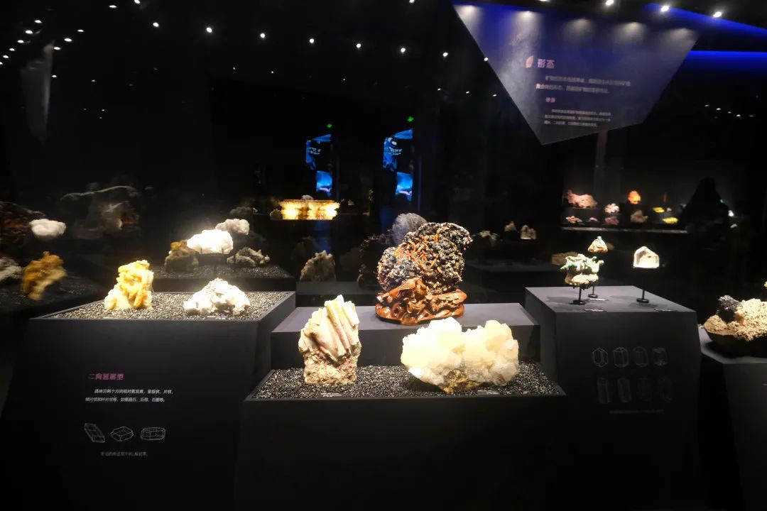 打卡山东博物馆和大明湖,山东博物馆打卡攻略