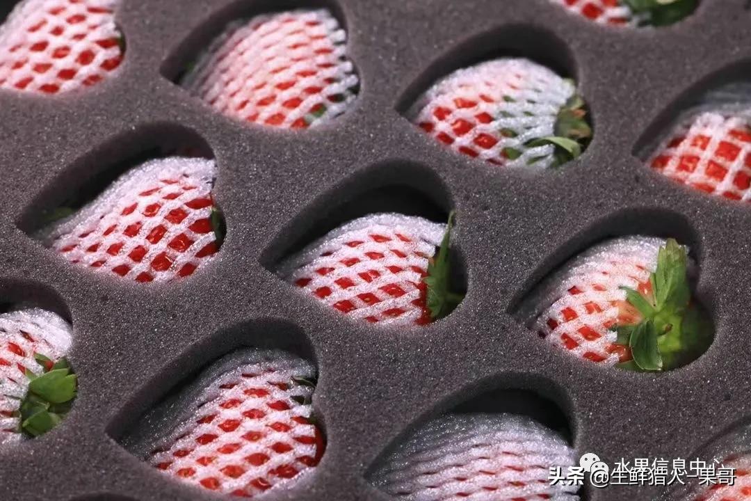 在水果中浆果是分哪几种,水果分类浆果