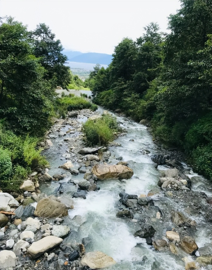 蛟龙的蛟是真的存在的吗,蛟龙发现什么生物